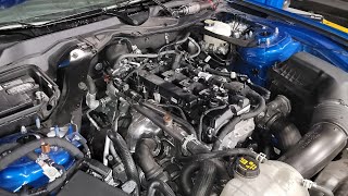 2021 Ford Mustang 6k miles 2.3L Ecoboost Valve Cover Leak and Reseal - Part Numbers Supplied