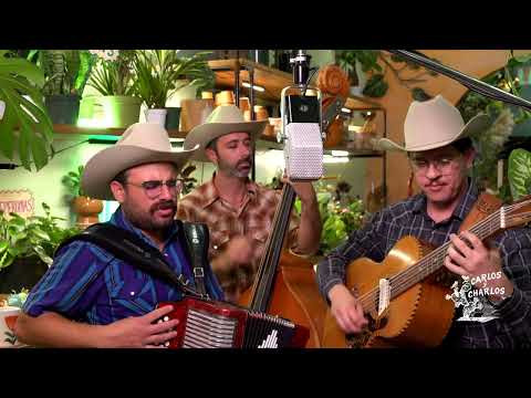 Carlos y Charlos - Wasted Days and Wasted Nights (En Vivo)