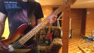 The Kids Are Alt-Right - Bad Religion (BASS COVER)