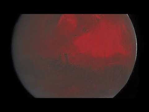 [FREE] Trippie Redd X Lil Gnar X  Meek Mill Type beat 2021 - "Mortis" (prod. yabi)