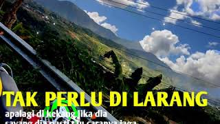 Download lagu story whatsaap ku puja puja mp3 Download lagu story whatsaap ku puja puja mp3