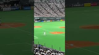 【ファイターズクラシック】髙橋信二 応援歌（宇佐見真吾）