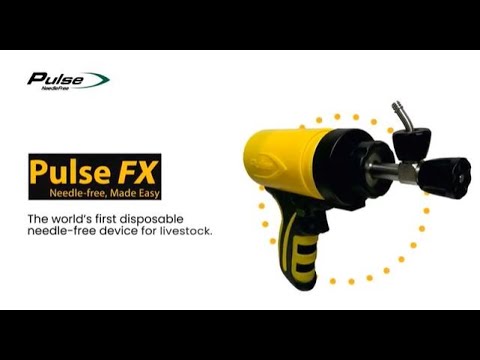 Pulse FX