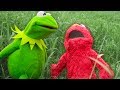 Kermit The Frog And Elmo S Backyard Challenge