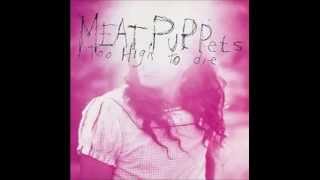 Meat Puppets - Evil Love