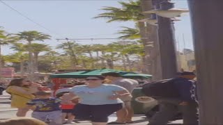 #shorts Unveiling the Charms of Disney World