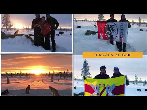 Voice of Nature & Malamute 2018