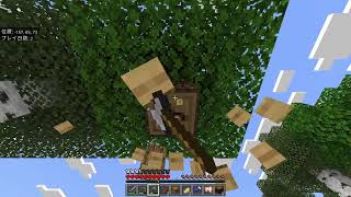 マイクラ　マルチ
