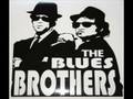 Blues Brothers Flip Flop Fly