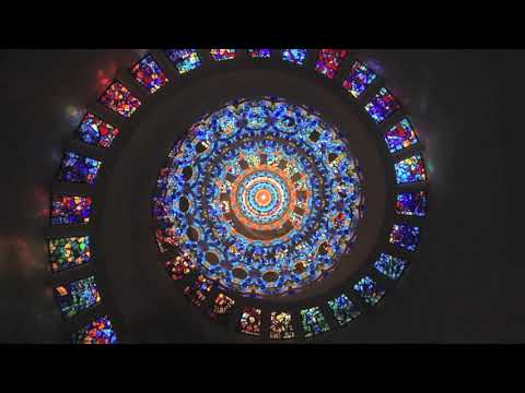 28,000,000 Honest, United People - Pure Science