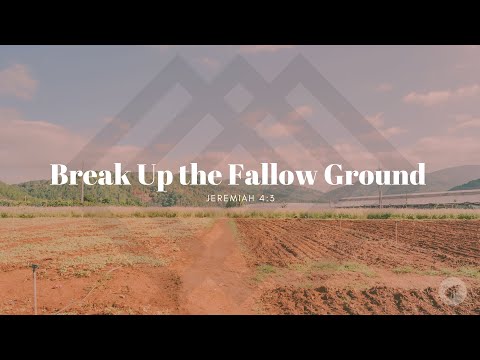 The Bridge | Jesse Quintana | 7.9.23