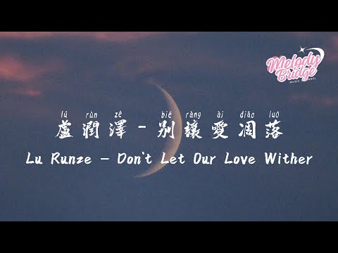 盧潤澤 別讓愛凋落 lu runze don t let our love wither 動態歌詞 english subs pinyin