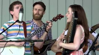 Empty Bottle String Band -- Sunny Side of Life