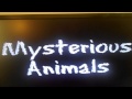 Opening To Wiggly Safari