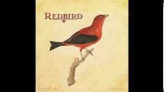Buckets of Rain..Redbird..Dob Dylan (COVER)