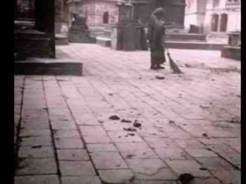 Nocturnal Into Moonlight