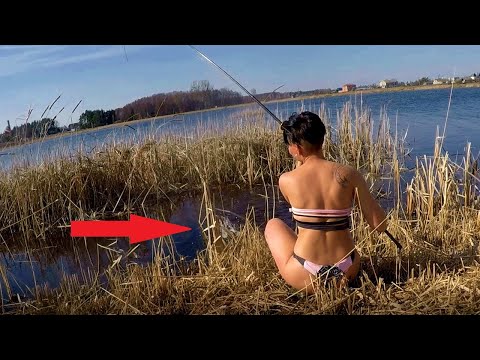 ЛОВЛЯ КАРПА В КАМЫШАХ. ТАКТИКА ЛОВЛИ ранней ВЕСНОЙ. #47
