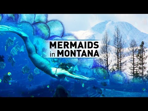 FULL MEASURE: February 17, 2019 - Mermaids in Montana