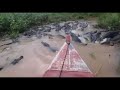 Huge Basks Of Crocodiles In Indonesia Making Way For Boat