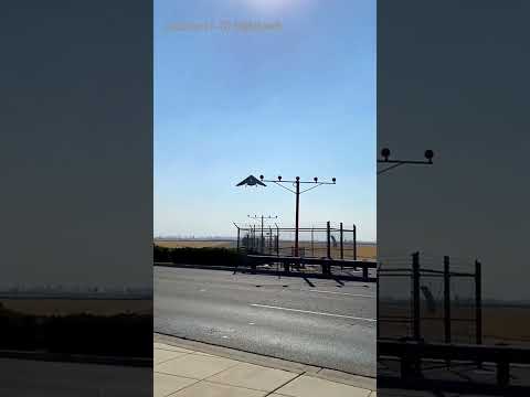 The Lockheed F-117 Nighthawk #shorts #usairforce #usaf #fighterjet #military #usmilitary #aviation