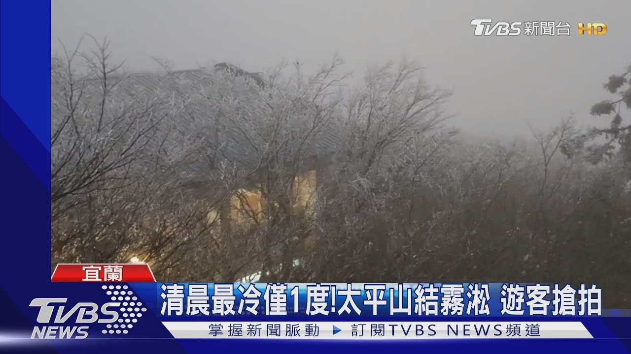 清晨最冷僅1度!太平山結霧淞 遊客搶拍