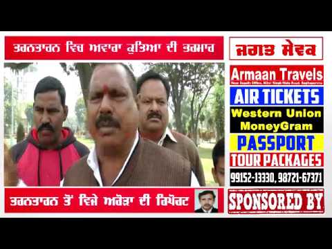 over Population of Dogs in Tarntaran