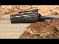 Richard Hammond Talks To A Rattlesnake Richard Hammond S Miracles Of Nature BBC