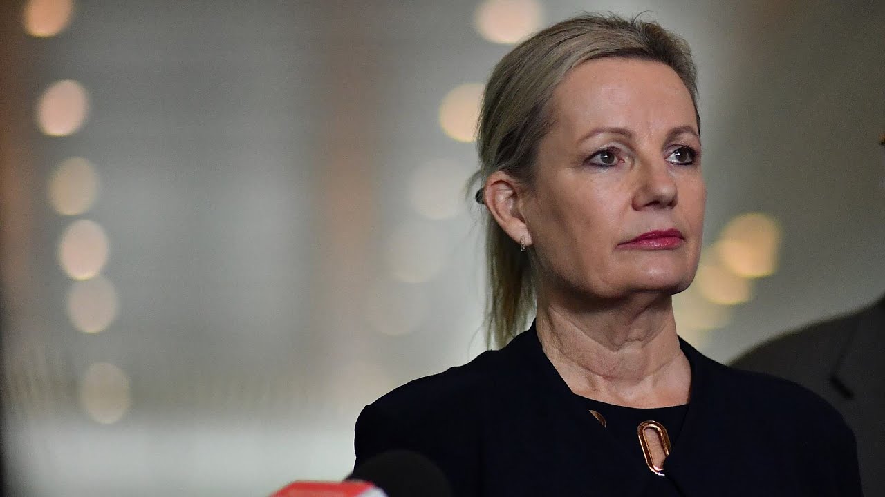 Senior Liberal figures encourage Sussan Ley to ‘drop’ net zero