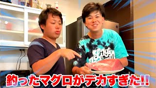 自分達で釣ったキハダマグロを捌いて食べたら大優勝しました！！！