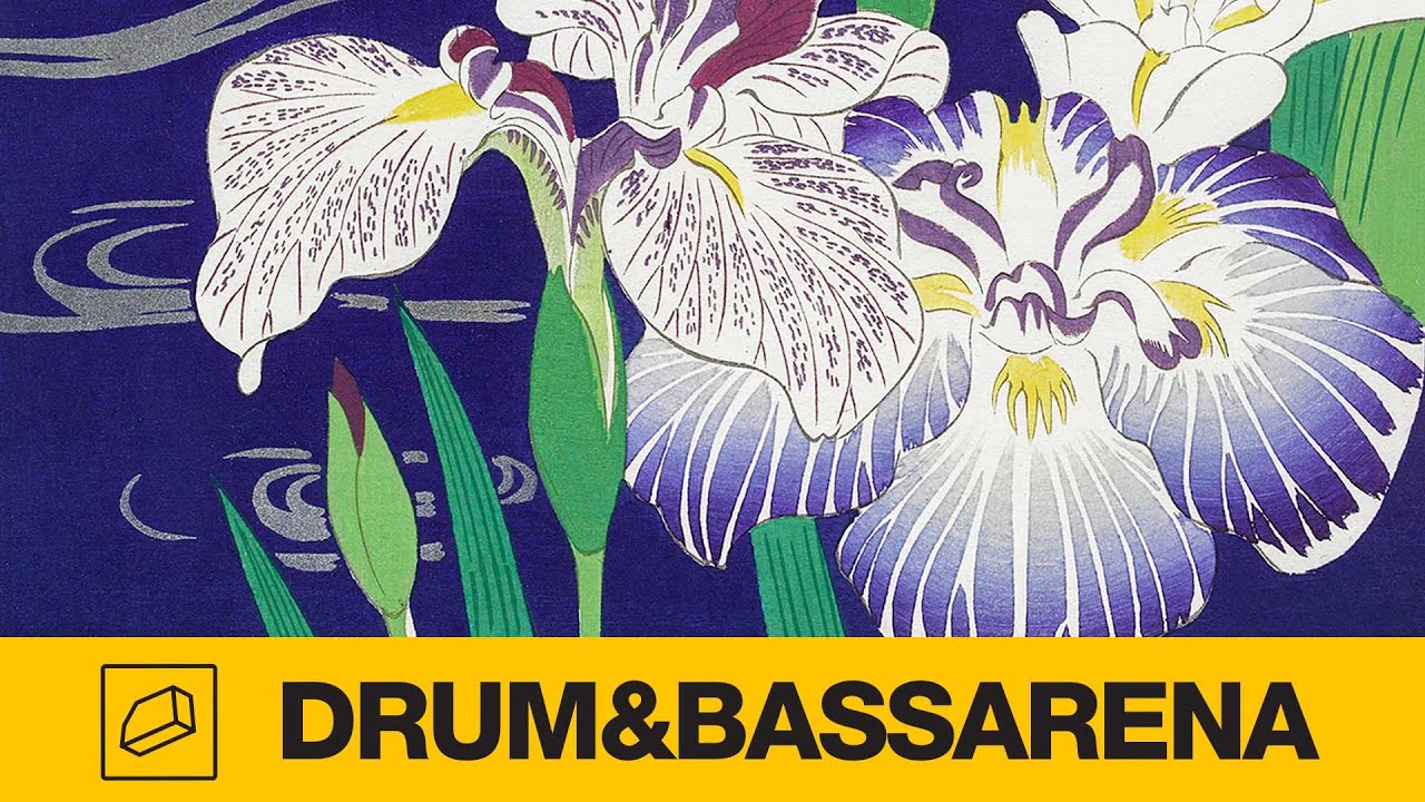 Aaron Payne - Won't Fall