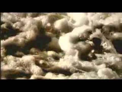 Lu Pisci Spada - Rita Botto