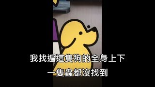 [問卦] 真的有人以為公狗沒有奶頭嗎？