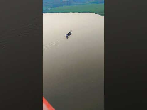 #youtube #youtube #food #ayata #musicgenre #birds #ayati #musicstyle