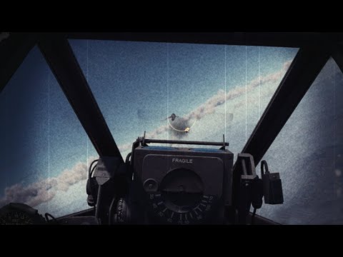 How Australian Meteors Fought MiGs in Korea - Part 2