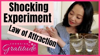 Test Law of Attraction with Gratitude Experiment  (Shocking Demonstration)