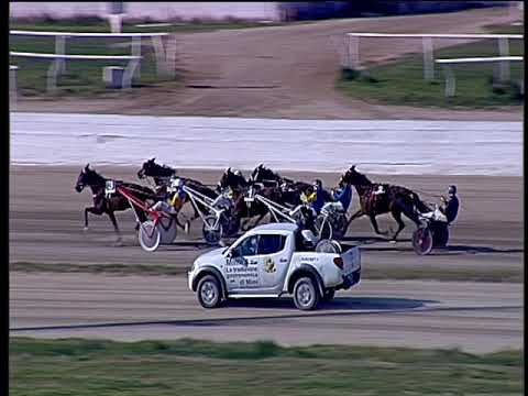 Trotto 22/03/2019 - 2ª corsa