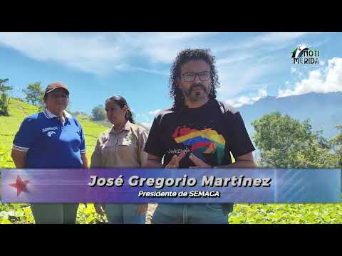 Supervisan cultivo de semillas de caraota de alto valor en Campo Elías