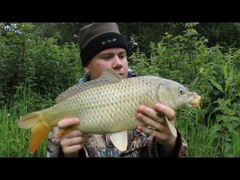 SCTV Episode 34: Float Fishing The Margins