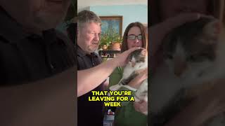 1 or 2 Days Before Your Cruise!  #cruisetips #cruiseship #shorts #traveltips