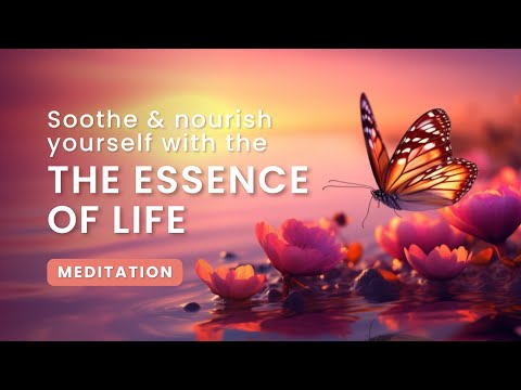 Soothe & Nourish Yourself with the Essence of Life I Meditation Experience