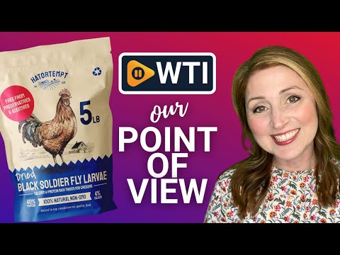 Black Soldier Fly Larvae for Chickens 5LB – Non-GMO Treat with More Calcium Than Mealworms – Organic Dried BSF Larva for Chickens – Protein Snack for Laying Hens - WTI product video review