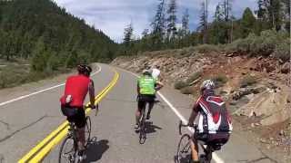 Stewart Springs Rd. West ~ Livin' the Truth, Guy Monk