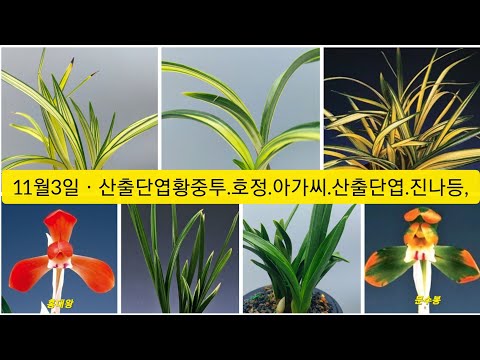 유튜브 썸네일