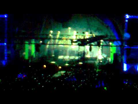 Spirit of London Blue - 16/10  Yolanda Be Cool