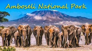 Amboseli Ultimate Safari || WORLD'S BIGGEST ELEPHANTS