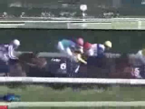 2013.09.29 Sprinters Stakes - Lord Kanaloa