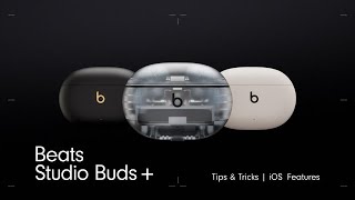 Beats By Dre Studio Buds + Tips and Tricks for iOS