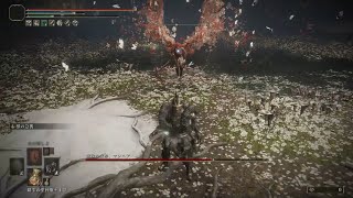 ミケラの刃、マレニア【左スティック封印・重量過多・獣爪】【ELDEN RING】
