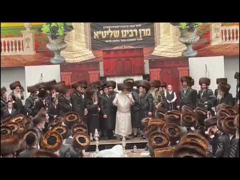 Simchas Beis Satmar Cheshvan 5782 - Forshpiel