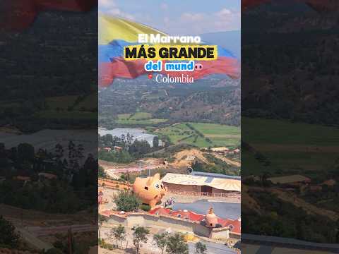 La mejor representación de nuestro talento artesanal colombiano ❤️🇨🇴